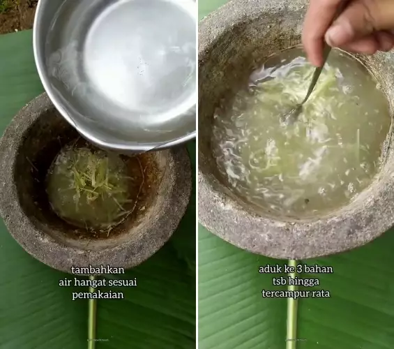 trik usir tikus pakai bumbu dapur  © 2025 TikTok