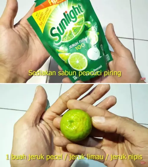 hilangkan bau amis dan lemak pakai buah © 2025 YouTube