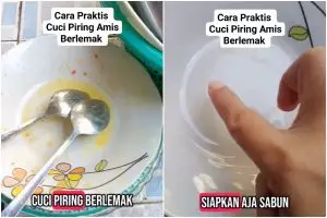 Trik hilangkan bau amis dan lemak dari piring cuma pakai 1 tambahan buah, sekarang jadi lebih kesat