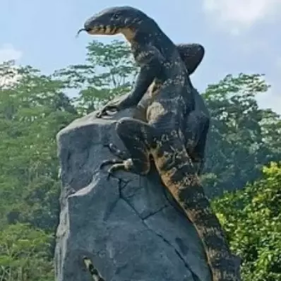 Tak seperti tugu kura-kura, penampakan patung biawak senilai Rp 50 juta di Wonosobo ini viral