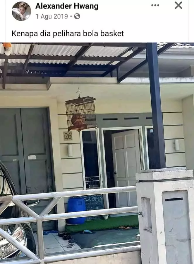 kandang burung dalam aneh © X kandang burung dalam aneh © X