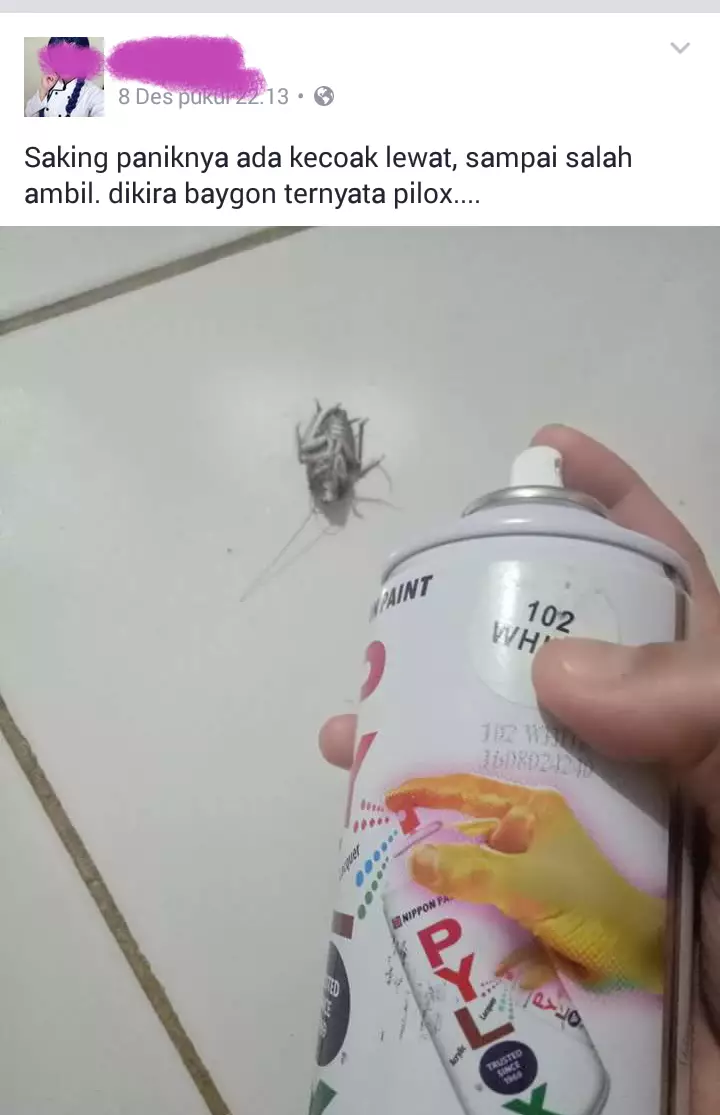 panik kocak © berbagai sumber panik kocak © berbagai sumber