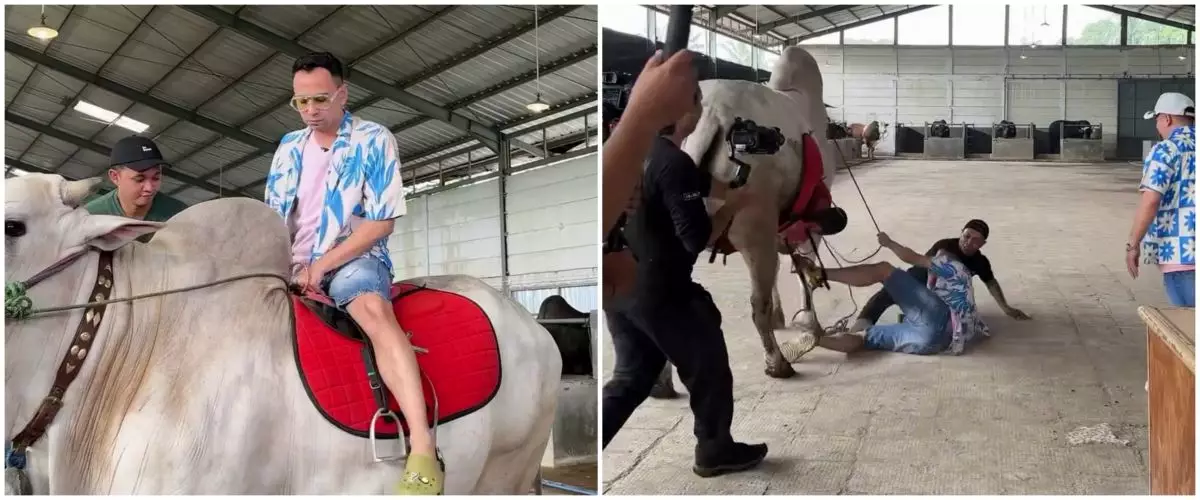 Raffi Ahmad jatuh dari sapi 1 ton saat syuting di peternakan Irfan Hakim, ini kondisinya usai CT scan
