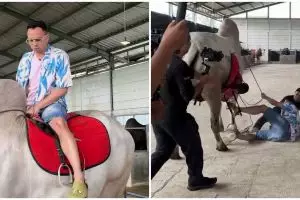 Raffi Ahmad jatuh dari sapi 1 ton saat syuting di peternakan Irfan Hakim, ini kondisinya usai CT scan