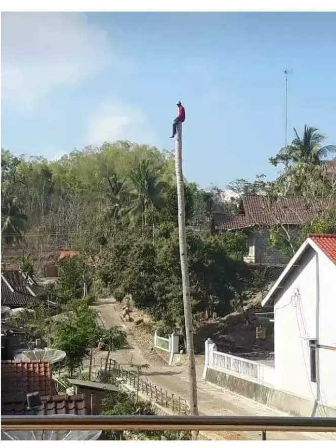 orang petik buah lucu aksinya © Berbagai sumber