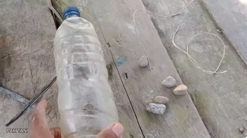 cara usir burung pipit di sawah  © 2025 YouTube cara usir burung pipit di sawah  © 2025 YouTube