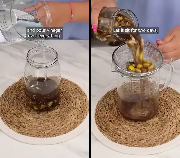 pengusir tikus pakai 1 ampas dapur  © 2025 YouTube