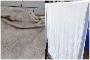 Tanpa direndam sabun semalaman, ini cara mencuci handuk penuh noda biar kinclong pakai 3 bahan dapur