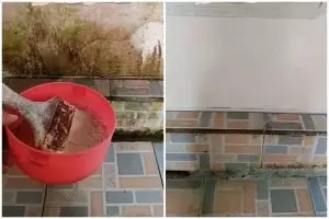 Kerak dan jamur auto luntur, wanita ini bagikan cara hilangkan noda kamar mandi pakai 2 bahan dapur