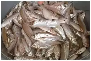 Harusnya tahu dari dulu, ini cara simpel hilangkan formalin pengawet pada ikan segar