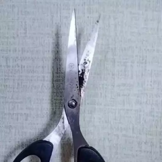 Dua bahan dapur ini ampuh hilangkan karat dan bikin gunting tajam dalam 5 menit, begini caranya