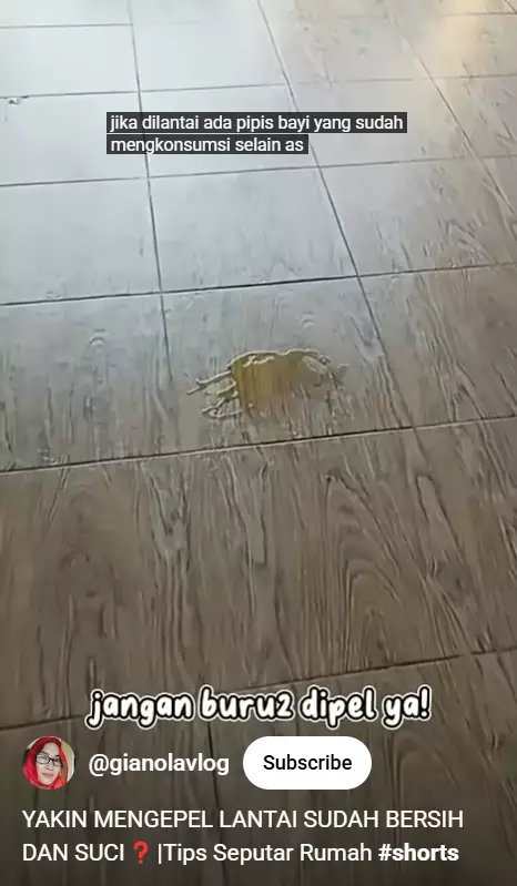 Bersihkan lantai terkena pipis bayi sekarang jangan langsung dipel, begini trik hilangkan najis berbagai sumber Bersihkan lantai terkena pipis bayi sekarang jangan langsung dipel, begini trik hilangkan najis berbagai sumber