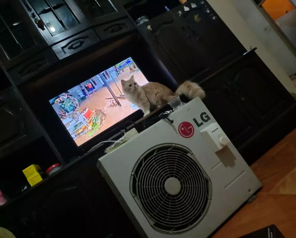 alih fungsi elektronik © berbagai sumber