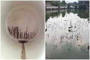 11 Potret lucu benda nggak sengaja difoto ini hasilnya malah mirip karya seni, abstrak tapi keren