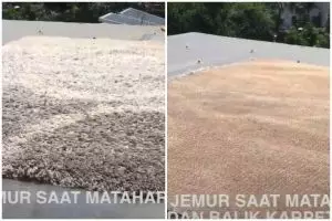 Tanpa dicuci pakai sabun, begini cara basmi bau apek membandel di karpet cuma modal 1 bahan dapur