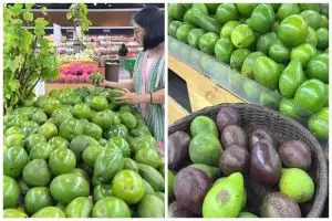 Warna kulit alpukat bisa jadi kode rahasia buat tahu matang atau nggaknya, intip trik jitu wanita ini