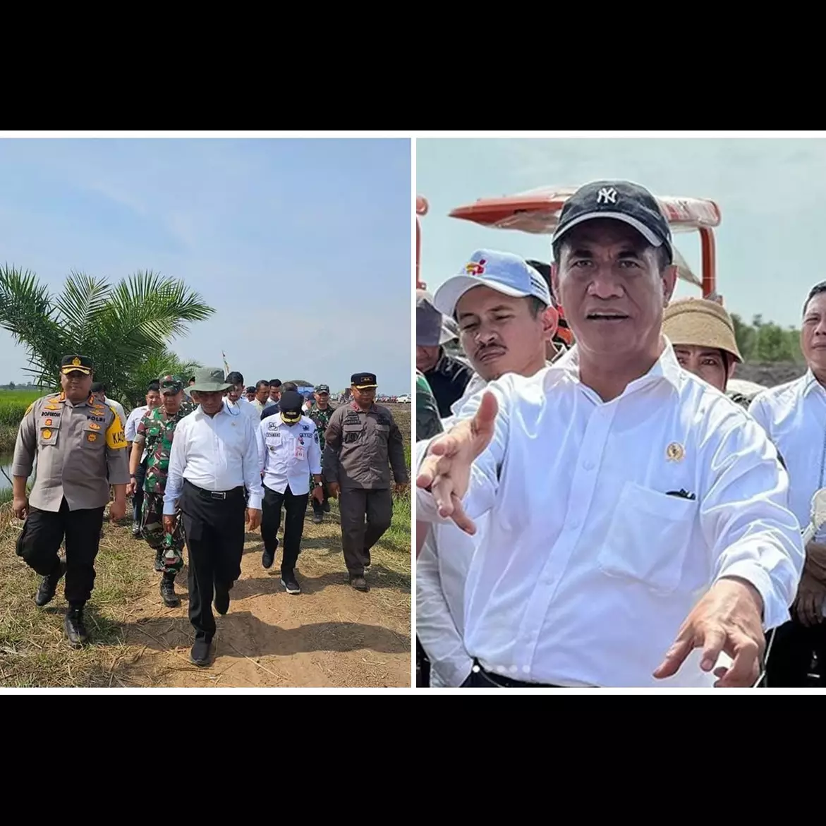 Mentan Amran Sulaiman janji harga ayam di pasar normal pekan depan