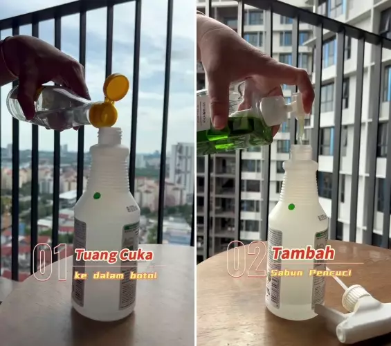 trik bersihkan kaca dari jamur pakai cuka © 2025 TikTok trik bersihkan kaca dari jamur pakai cuka © 2025 TikTok