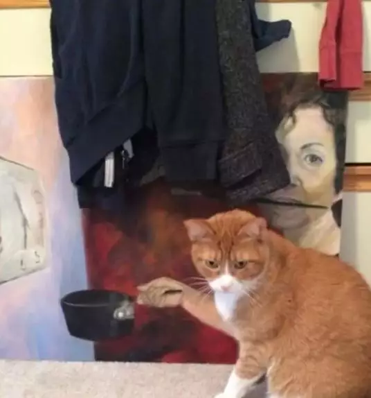 gambar nyeleneh mengecoh mata © berbagai sumber gambar nyeleneh mengecoh mata © berbagai sumber