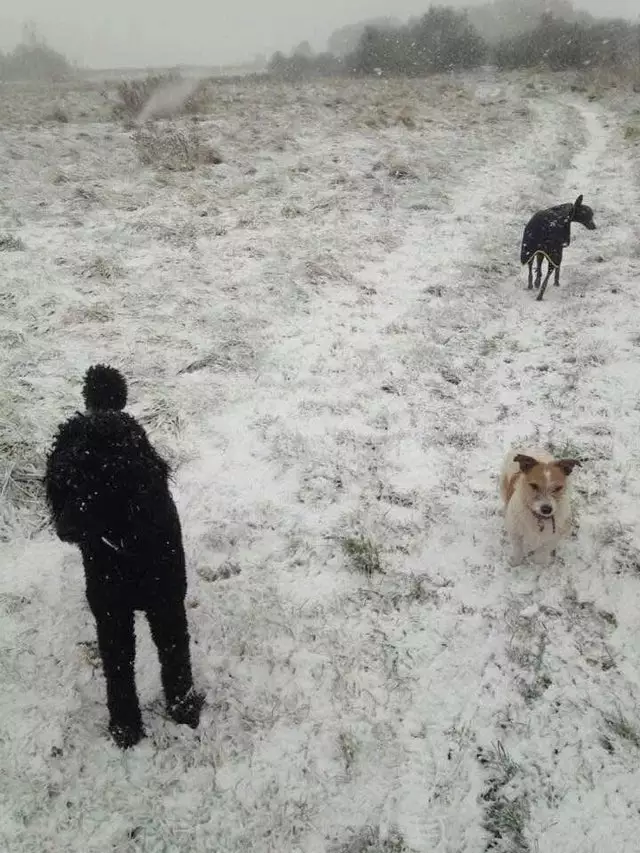 gambar nyeleneh mengecoh mata © berbagai sumber gambar nyeleneh mengecoh mata © berbagai sumber