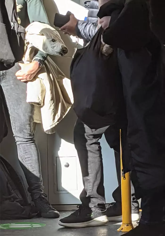 wajah di obyek © berbagai sumber wajah di obyek © berbagai sumber