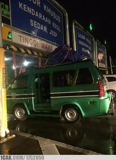 apes tengah jalan © berbagai sumber