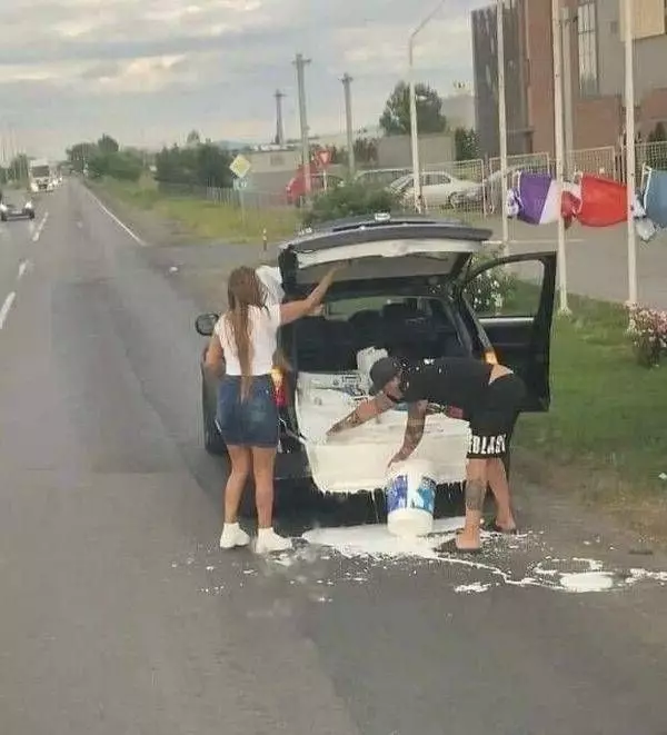 apes tengah jalan © berbagai sumber