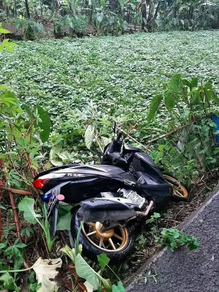 apes tengah jalan © berbagai sumber