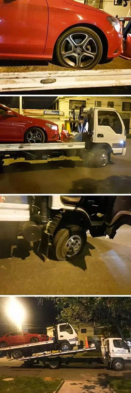 apes tengah jalan © berbagai sumber