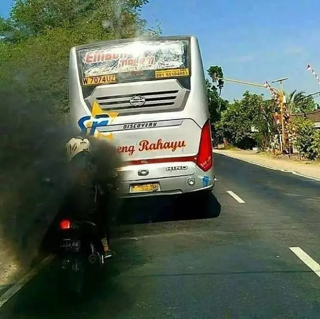 apes tengah jalan © berbagai sumber