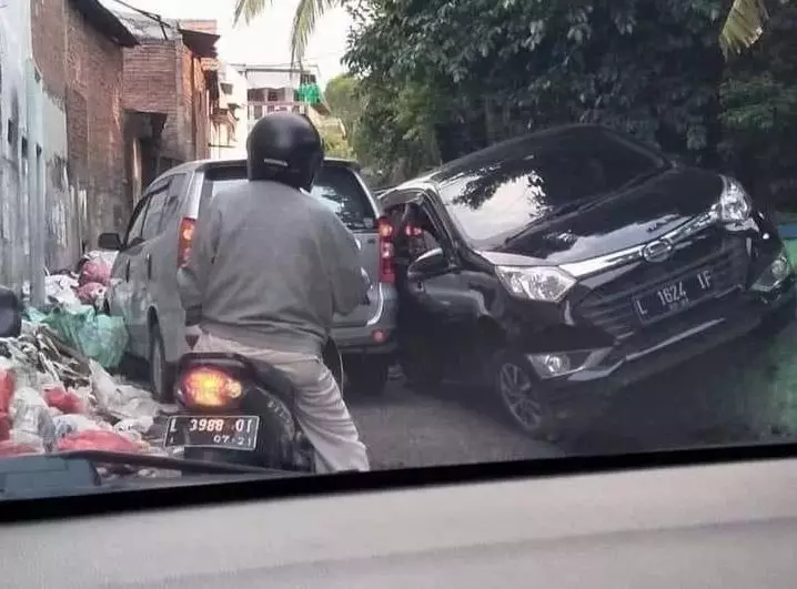 apes tengah jalan © berbagai sumber