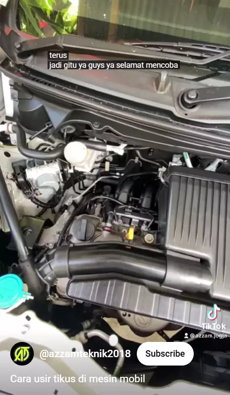 Mengusir tikus di kap mesin mobil sekarang tak perlu pusing, cukup pakai trik dari 1 bahan sederhana berbagai sumber