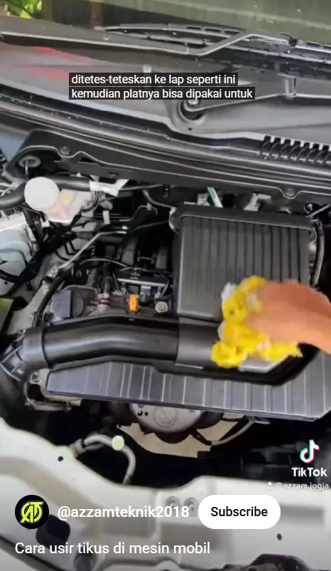 Mengusir tikus di kap mesin mobil sekarang tak perlu pusing, cukup pakai trik dari 1 bahan sederhana berbagai sumber