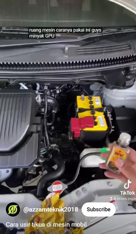 Mengusir tikus di kap mesin mobil sekarang tak perlu pusing, cukup pakai trik dari 1 bahan sederhana berbagai sumber