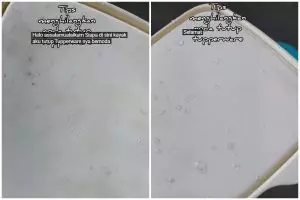 Trik membersihkan tutup tupperware kotor berjamur sekarang tak direndam sabun, cuma butuh 10 menit