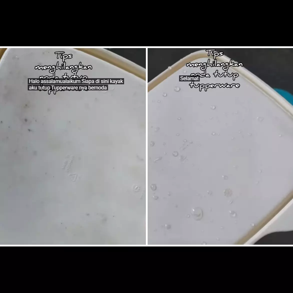 Trik membersihkan tutup tupperware kotor berjamur sekarang tak direndam sabun, cuma butuh 10 menit