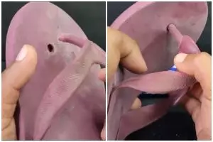 Jangan langsung dibuang, trik memperbaiki sandal jepit putus sekarang pakai 1 barang bekas