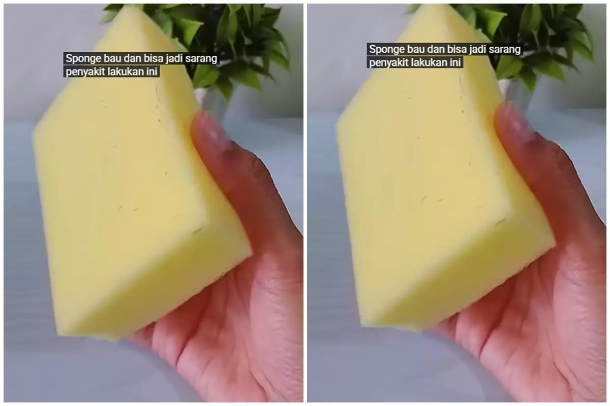 Jangan keburu beli baru, spons sabun cuci piring kotor lama bisa bersih lagi sekarang pakai trik jitu