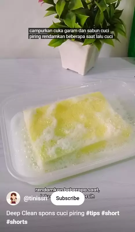 Jangan keburu beli baru, spons sabun cuci piring kotor lama bisa bersih lagi sekarang pakai trik jitu berbagai sumber Jangan keburu beli baru, spons sabun cuci piring kotor lama bisa bersih lagi sekarang pakai trik jitu berbagai sumber