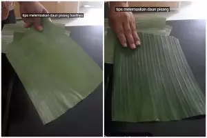 Trik melenturkan daun pisang kaku tanpa dijemur, warnanya kian cantik, sekarang cuma pakai 2 langkah