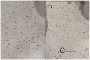 Bersihkan lantai kamar mandi jadi tak licin sekarang cuma pakai tambahan 2 bahan dapur, ini caranya