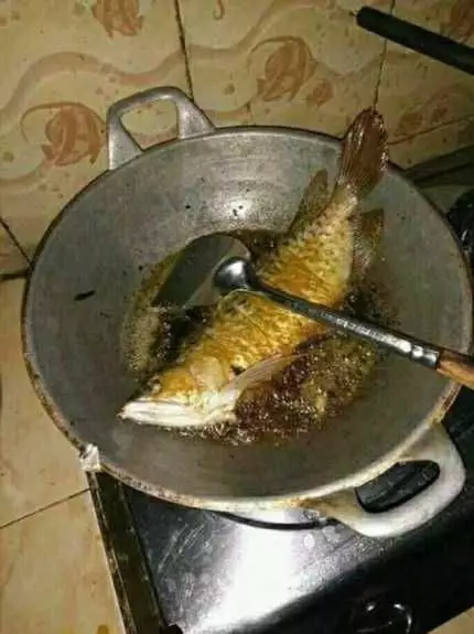 goreng ikan di panci © berbagai sumber goreng ikan di panci © berbagai sumber