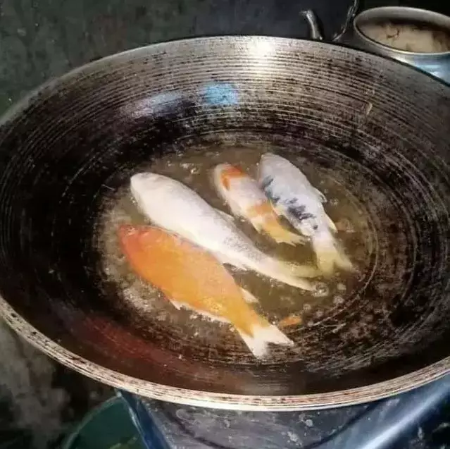 goreng ikan di panci © berbagai sumber goreng ikan di panci © berbagai sumber