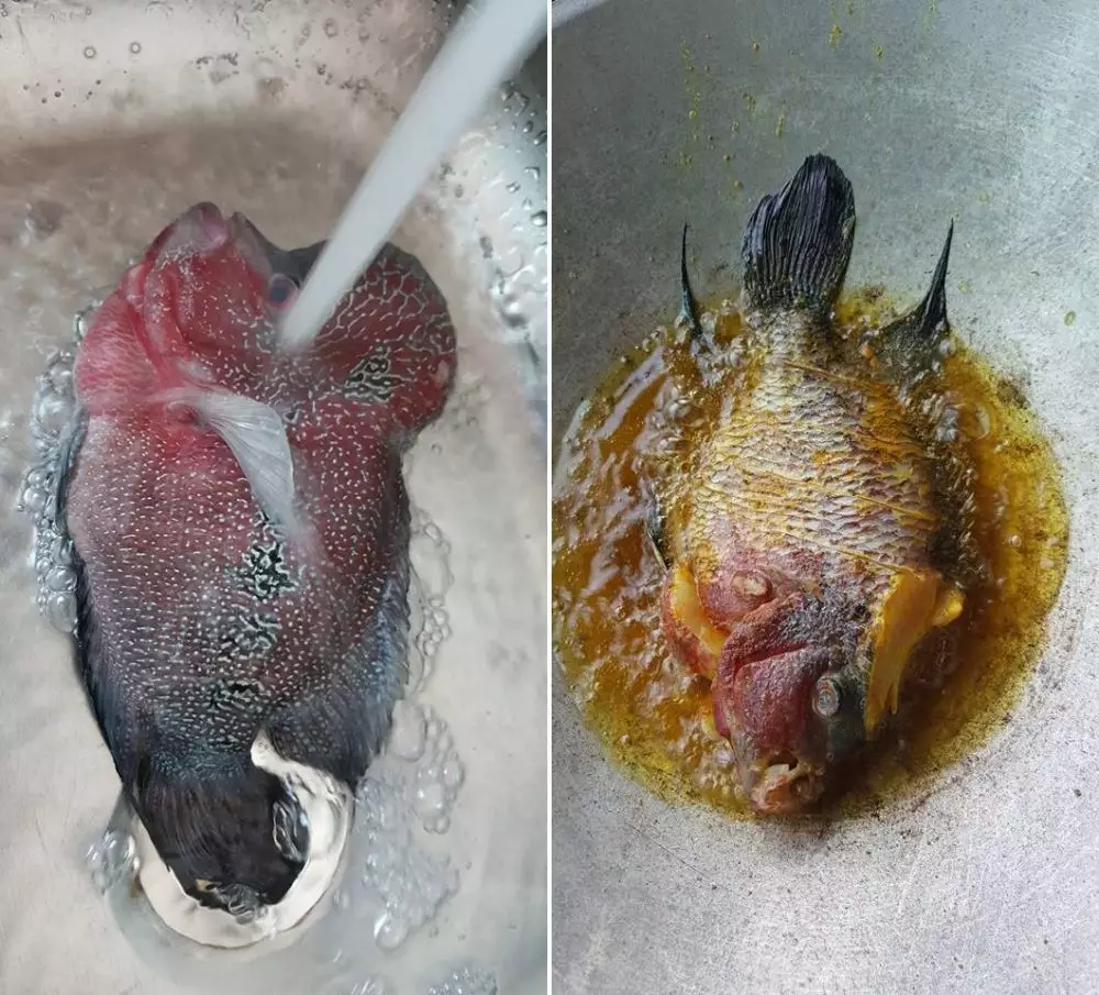 goreng ikan di panci © berbagai sumber goreng ikan di panci © berbagai sumber