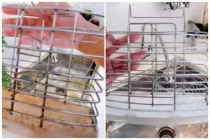 Tak perlu digosok kuat, ini trik hilangkan karat di rak piring agar kinclong pakai 1 bahan sederhana