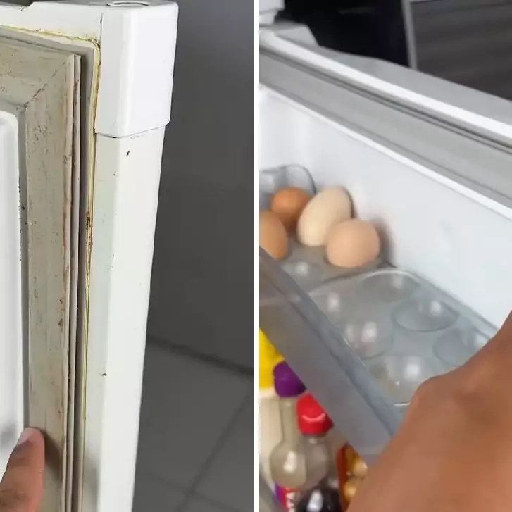 Karet kulkas kotor bisa kembali bersih sekarang tanpa repot disikat, triknya pakai 2 bahan dapur