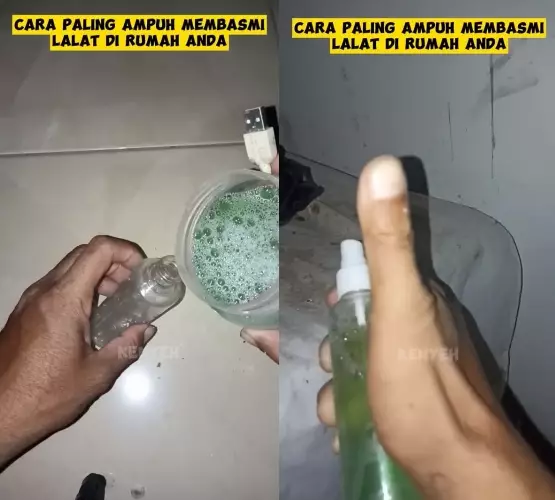 Basmi lalat di rumah nggak pakai semprotan serangga © YouTube Basmi lalat di rumah nggak pakai semprotan serangga © YouTube