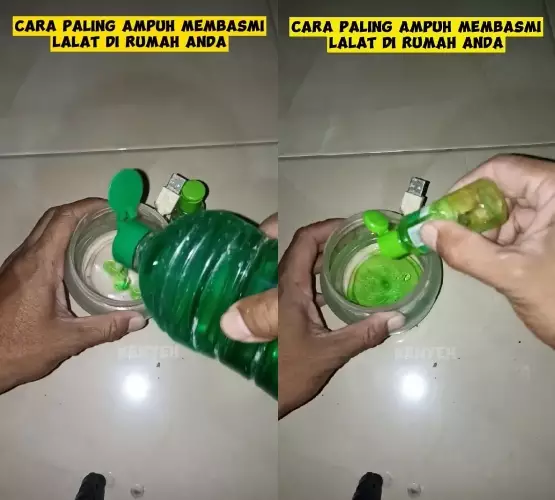 Basmi lalat di rumah nggak pakai semprotan serangga © YouTube Basmi lalat di rumah nggak pakai semprotan serangga © YouTube