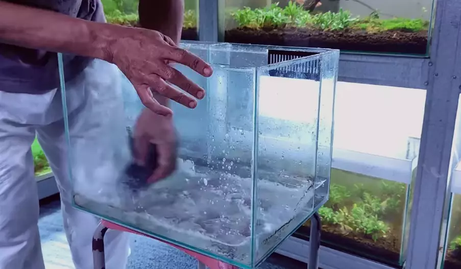 cuci akuarium pakai sabun cuci piring © 2024 brilio.net cuci akuarium pakai sabun cuci piring © 2024 brilio.net