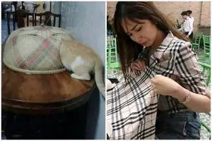 11 Potret lucu penampakan nggak biasa di atas meja makan ini bikin mikir keras